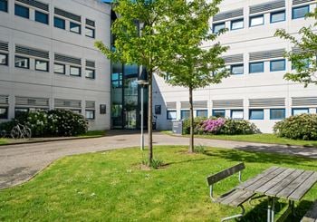 Kontor med nem adgang og rolig atmosfære