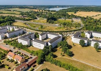 Kontoret med naturen i baghaven