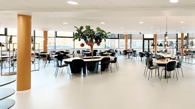 Moderne kantine og loungeområde med træer og mødeborde på Lautrupvang 12 i Ballerup.