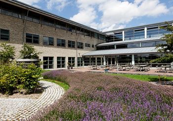 Lyst og åbent kontor med reception og kantine