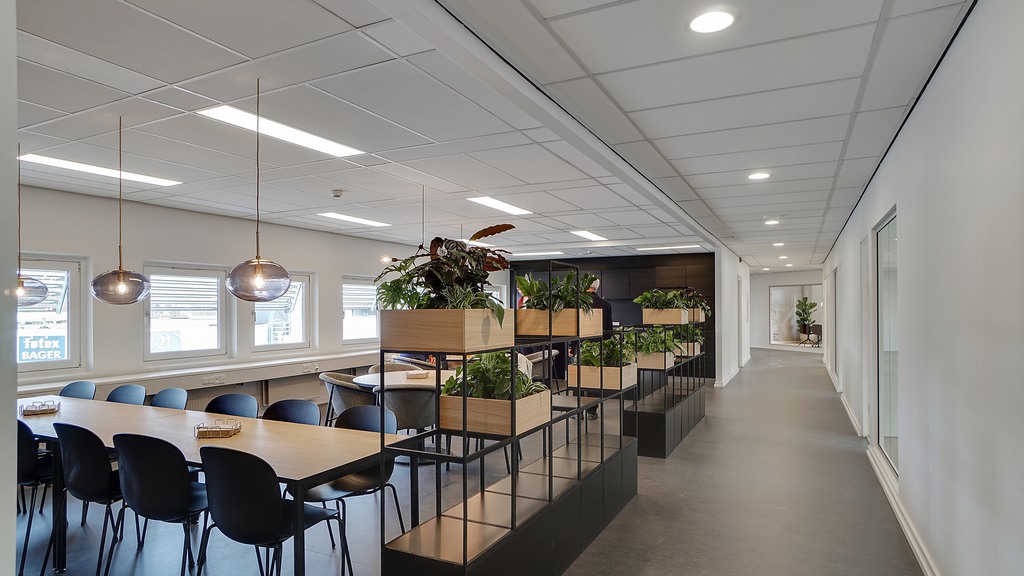 Moderne, lyst kontorfællesskab i Ballerup med store borde, grønne planter og indbydende fællesarealer.