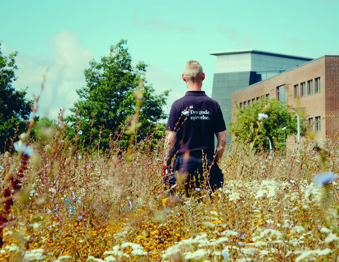Medarbejder i Wihlborgs trøje kigger ud over et vildt naturområde for at styrke biodiversiteten.