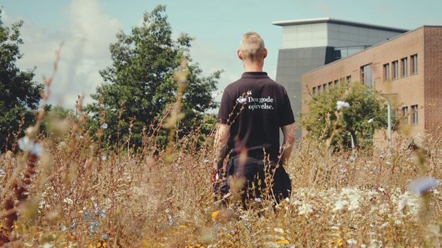 Medarbejder i Wihlborgs trøje kigger ud over et vildt naturområde for at styrke biodiversiteten.